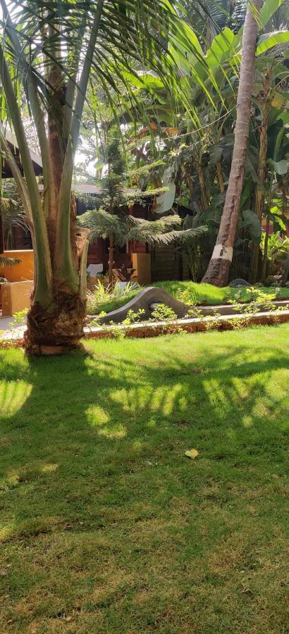 Tattvam On The Beach - Retreat And Spa 阿姆波尔 外观 照片