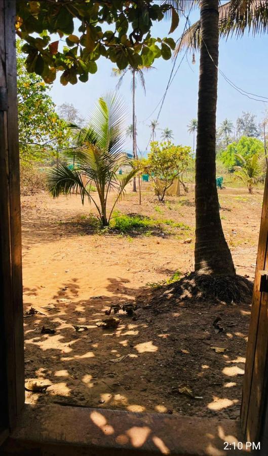 Tattvam On The Beach - Retreat And Spa 阿姆波尔 外观 照片