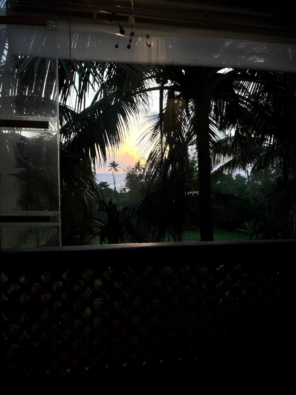 Tattvam On The Beach - Retreat And Spa 阿姆波尔 外观 照片